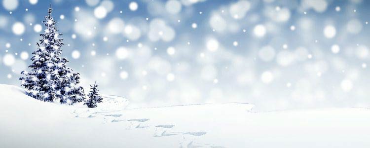 December Happenings!